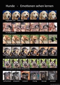 Poster Emotionen Hunde
