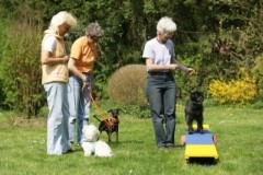 Foto: Gabriele Metz,© Kosmos