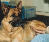 © Foto li: Andrea Heitz